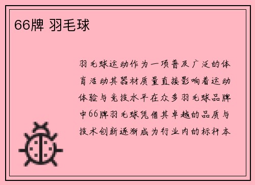 66牌 羽毛球