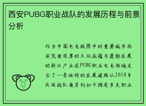 西安PUBG职业战队的发展历程与前景分析