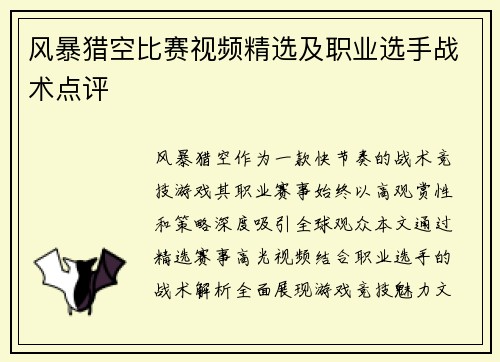 风暴猎空比赛视频精选及职业选手战术点评